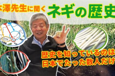 【日本のネギ文化を知る！】　歴史の生き証人「本澤先生」が業界の裏話しを交えて、葱の品種や栽培環境の変化について詳しくお話しします♪ たねのハシモトミヤ