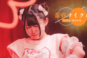 【LIVE映像】黄昏サイクル / iLiFE!