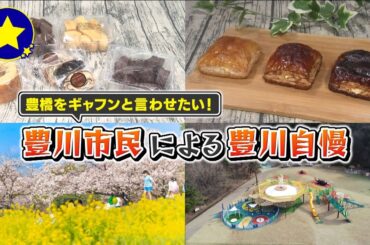 【豊川市】豊橋をギャフンと言わせたい！豊川市民による豊川自慢【愛知あたりまえ】