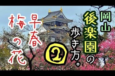 【岡山後楽園】梅が咲き誇る「岡山後楽園の歩き方②」