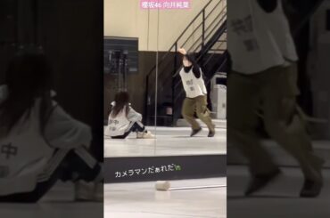 櫻坂46 向井純葉 山﨑天 断絶 高速ステップの愉快ないとちゃん♪笑 4th アリーナツアー