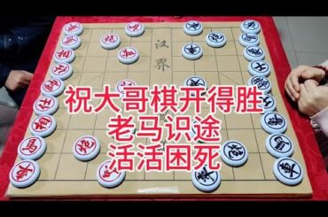 祝大哥棋开得胜  老马识途 活活困死