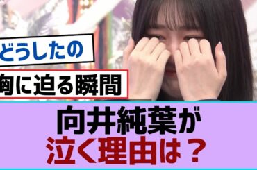 【櫻坂46】向井純葉が泣く理由は？【櫻坂】