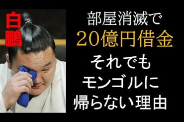 有力者「宮城野親方を助けてほしい」 それでも●●のせいで部屋閉鎖 白鵬・北青鵬問題が世界一わかる動画（3月10日更新版）