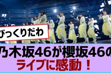 乃木坂46が櫻坂46のライブに感動！【櫻坂】