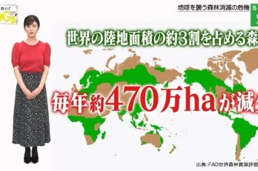 知りたい！SDGs #65 |2020年12月24日放送