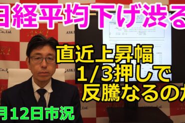 2024年3月12日【日経平均下げ渋る　直近上昇幅1/3押しで反騰なるのか】（市況放送【毎日配信】）