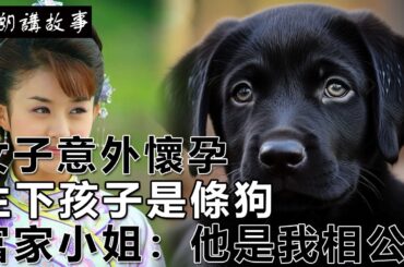 民間故事：女子意外懷孕，生下孩子是條狗，富家小姐：他是我相公｜高朗講故事