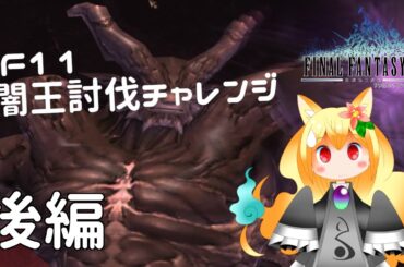 【FF11闇王討伐・後編】元FF11廃人がなんちゃってRTAに挑戦！(ネタバレあり)【椎茸谷りるんこ】