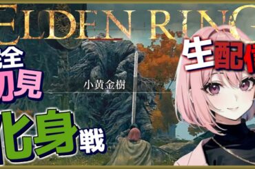 【ELDEN RING エルデンリング】（後編）まずは黄金樹の化身と戦ってみる！そしてナナは刀探しの旅に出ます！PC版 ※ネタバレ注意