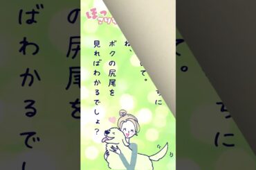 【ランチのお供に朗読を】キミがいれば幸せ【ほっこりする話】 #朗読