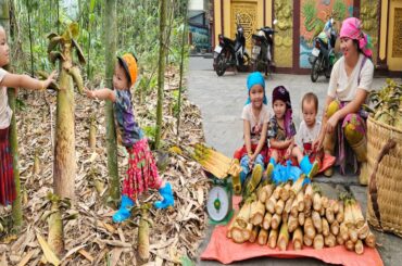 Single Mom - Raising three children alone & Harvest bitter bamboo shoots go market sell, Cooking