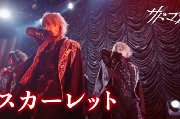 【LIVE VIDEO】サドマゾ『スカーレット』(2024.05.03「カルトキネマ」@キネマ倶楽部)