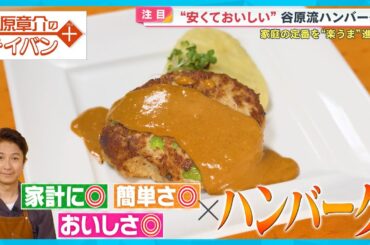 安くておいしい！豚ひき肉で作る“進化系ハンバーグ”〈谷原章介のテイバン＋〉【めざまし８】