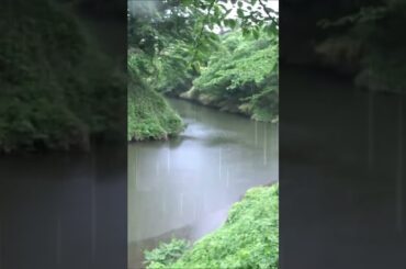 【会津若松】😱 会津鶴ヶ城への行く！? 👻 不気味な南側裏ルート➃！The eerie southern route to Aizu Tsurugajo Castle!Amazing Japan！