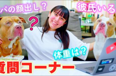 質問コーナー！彼氏はいる？好きな人は？ロッキーやパパの質問も！【質問コーナー】