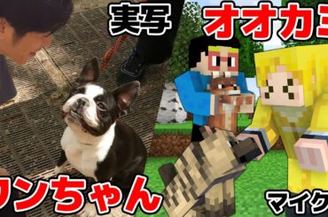 【マイクラ実写】リアル世界でワンちゃん探し VS 最新アップデートで追加されたオオカミ探し、どっちが沢山見つけられる？！【対決】