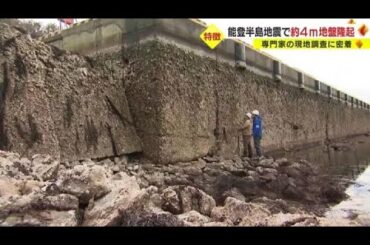 1分間で約4m隆起か…能登半島地震での地殻変動量を大学准教授が調査 港の復興「東日本の時以上に大変」 (2024/01/16 01:12)