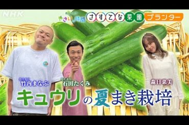 [やさいの時間] キュウリのプランター栽培をカミナリと森日菜美がご紹介&【7/21(日)放送告知】やさいの時間 | さすてな菜園プランター | NHK