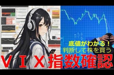 Lv59【VIX指数（恐怖指数）で相場の底値を判断する！】2024/7/19時点