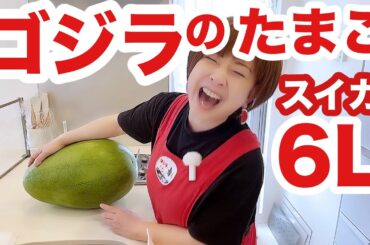 今シーズン16玉目の！🍉🤣🤣🤣【キッチンdeトーク】