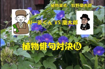 植物俳句対決⑯朝顔AI一茶くんVS 蘭太郎