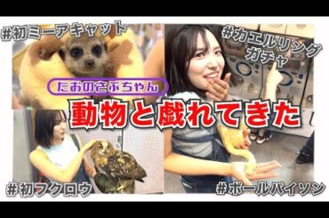 【たおさぶ】日本最大級の爬虫類イベントで動物と戯れてきた