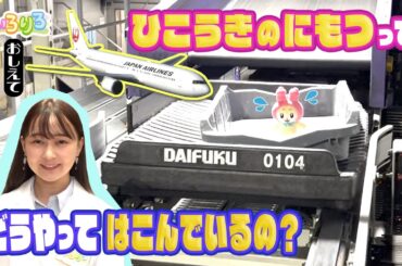 飛行機に預ける荷物の行方は！？りろりろが荷物になって大冒険！？【いろりろ公式】