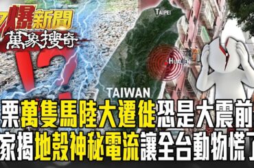 苗栗驚見「馬陸大遷徙」萬蟲攢動「恐是大地震前兆」？！專家揭地殼「神秘電流」讓全台動物都慌了？！-【57爆新聞 萬象搜奇】