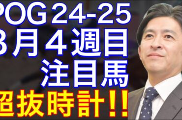 【POG/24-25】８月４週目デビューの注目新馬を紹介【超抜時計‼️福永厩舎のマイエレメントに期待！】