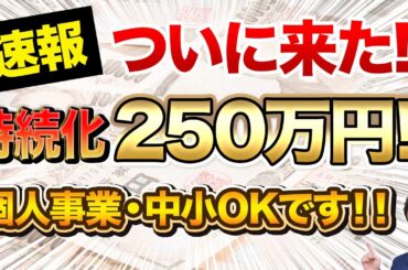 【速報】ついに来た！！従業員0でも250万円もらえる「持続化補助金」をプロの税理士が徹底解説！！