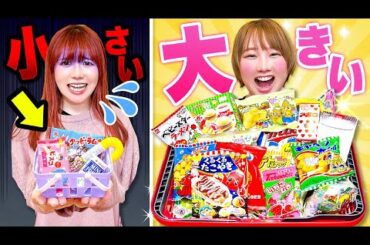 キミはどっち？駄菓子屋さんで小さいカゴ vs 大きいカゴで買い放題チャレンジ！かごに入るだけお菓子爆買い【大量購入品紹介】