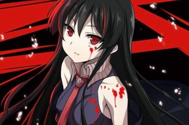 Akame ga Kill! Opening 2 Full『Rika Mayama – LIAR MASK』(Lyrics)