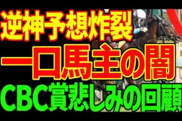 【一口馬主の闇】ドロップオブライトで福永祐一厩舎重賞初制覇！岡田牧雄との絆！じゃあ岡田スタッドのノルマンディーの会員からの視点を見せてやるよ！2024年CBC賞回顧動画【私の競馬論】【競馬ゆっくり】