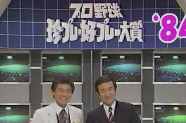 第２回好プレー珍プレー1984