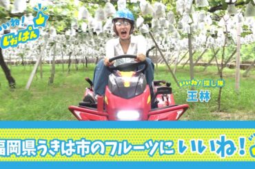 本編　いいね！じゃぱん【福岡県うきは市　フルーツ】 | ＢＳテレ東