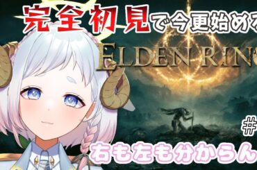 【#ELDENRING 】完全初見でやってみる#エルデンリング  🤍初見さん大歓迎です❕【#新人vtuber / ちむ】