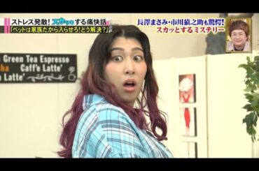 【痛快TVスカッとジャパン】長澤まさみ爆笑! 小林麻耶! 滝沢カレン ! サイテー悪女にまさかの結末SP VOL8