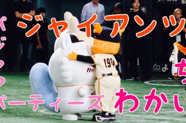 【パジャマパーティーズ】ちいかわ×ジャイアンツ⚾️#sports #baseball #giants #japantravel #asiantravel