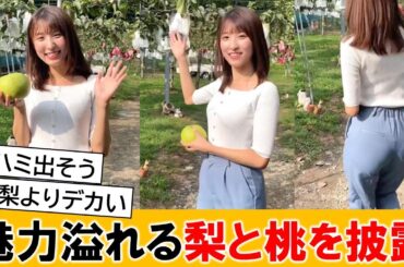 白木愛奈アナ、梨農家を訪れて魅力をたっぷり紹介してくれる【ネットの反応】