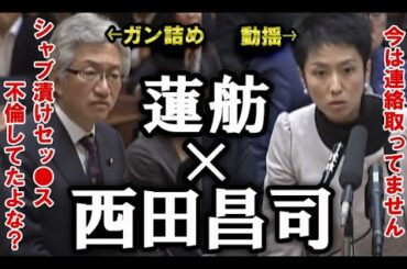 【西田昌司】不倫した蓮舫をガン詰めし半泣き状態にさせる【手軽に国会中継】