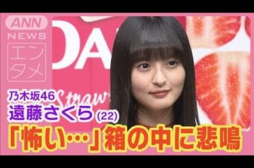 乃木坂46・遠藤さくら「反射的に手が引っ込む」“箱の中身当てゲーム”で悲鳴(2024年9月16日)